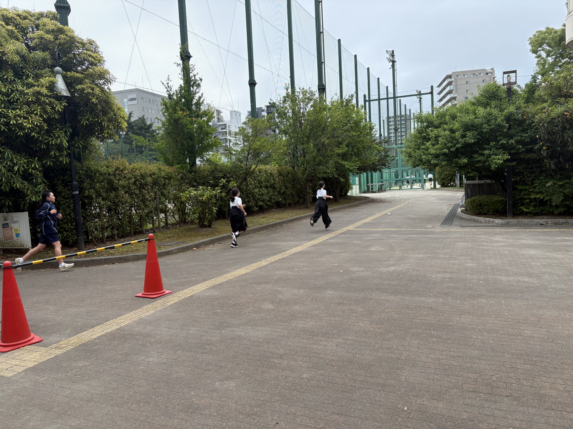 画像 -20260528-051358-e463f924